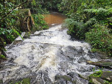 acari_011.jpg